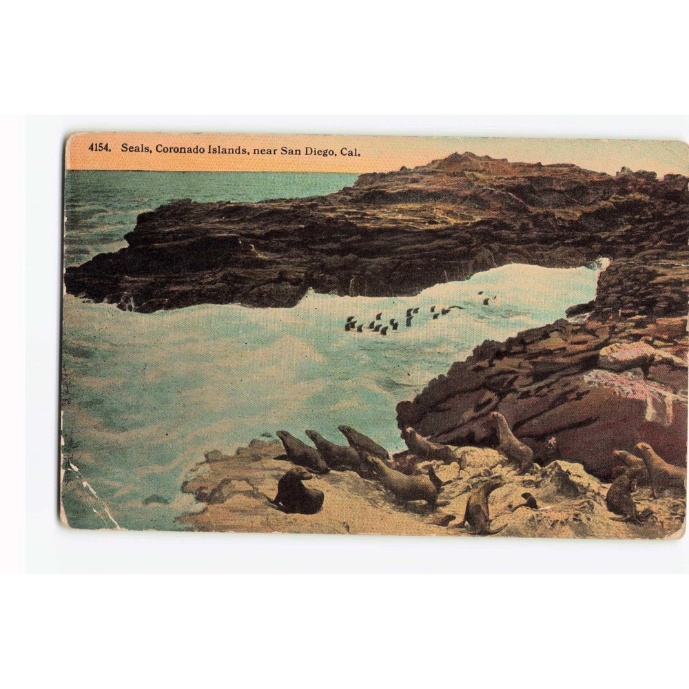 Vintage Seals Coronado Islands San Diego Postcard Panama-California Expo 1915